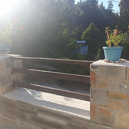 Apartments Spiros Pelion Καλαμάκι Δωμάτιο φωτογραφία