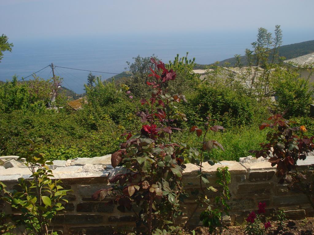 Apartments Spiros Pelion Καλαμάκι Εξωτερικό φωτογραφία