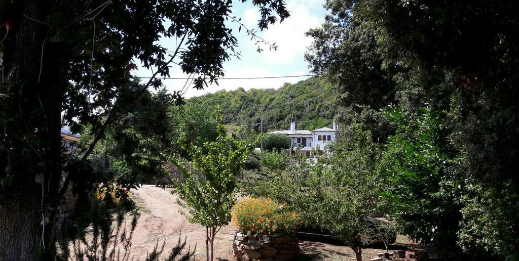 Apartments Spiros Pelion Καλαμάκι Εξωτερικό φωτογραφία