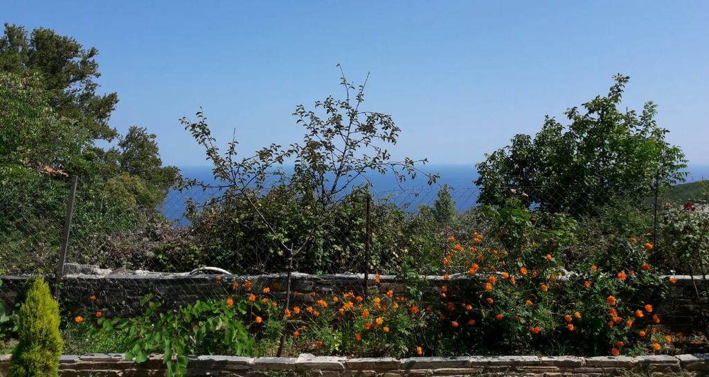 Apartments Spiros Pelion Καλαμάκι Εξωτερικό φωτογραφία