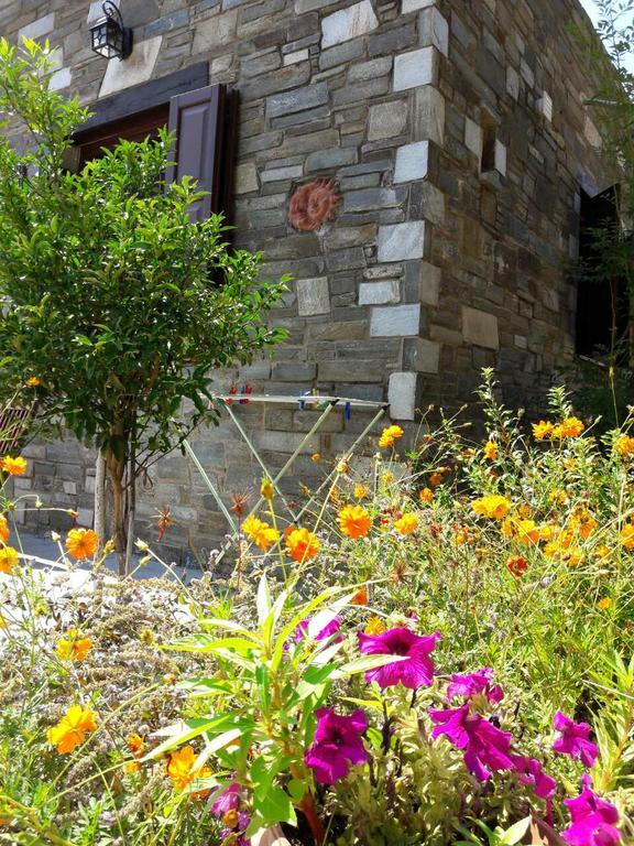 Apartments Spiros Pelion Καλαμάκι Εξωτερικό φωτογραφία