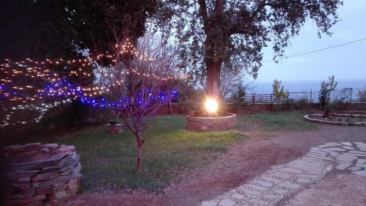 Apartments Spiros Pelion Καλαμάκι Εξωτερικό φωτογραφία